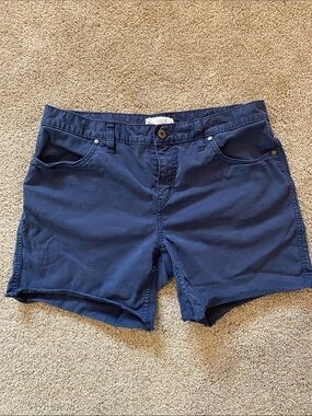 Carve Design Navy Blue Women's Shorts